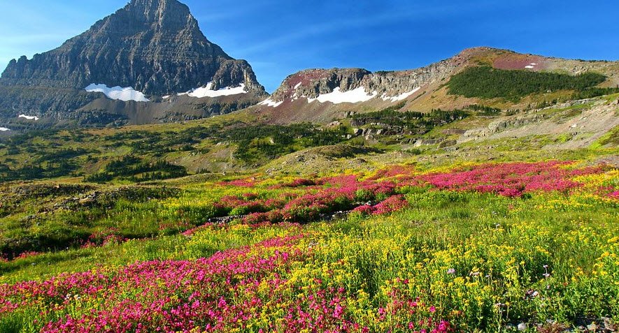 Logan Pass, Montana, USA